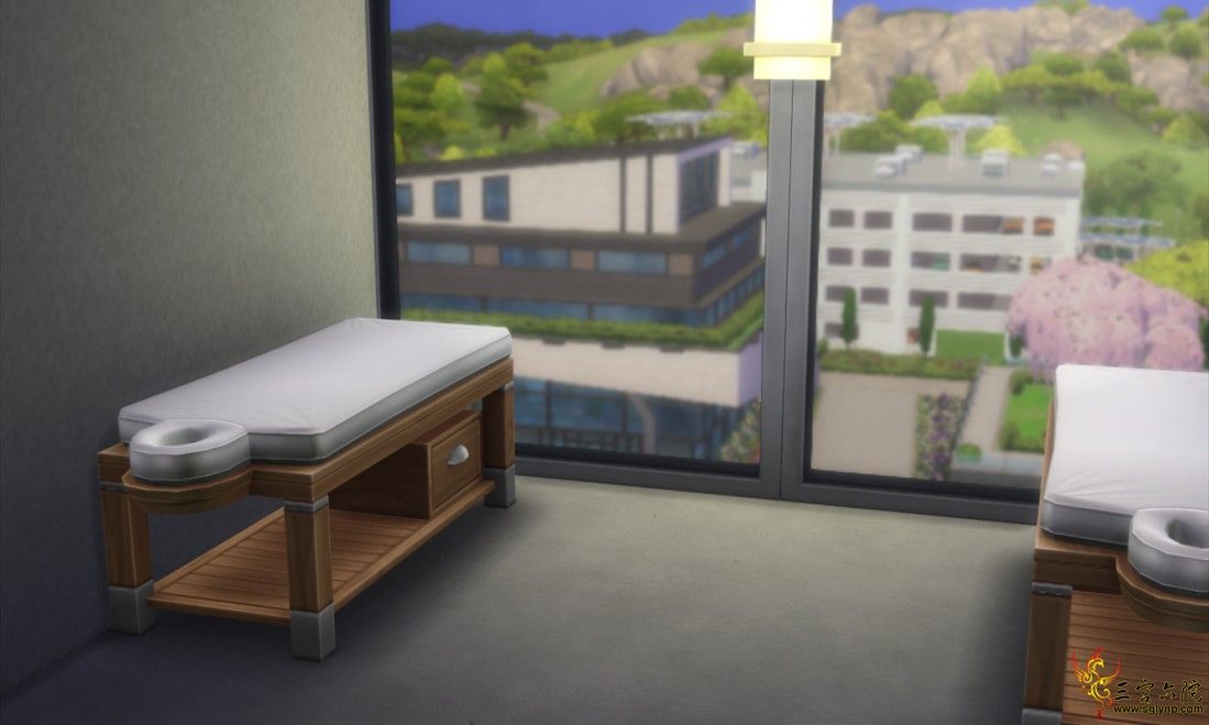 The Sims 4 2020_2_11 2_05_24_.png