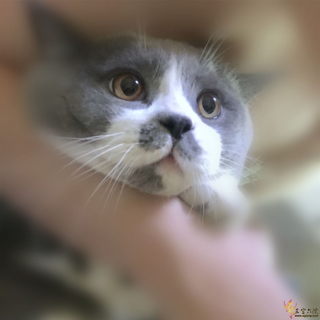 QQͼƬ20200214001041.jpg
