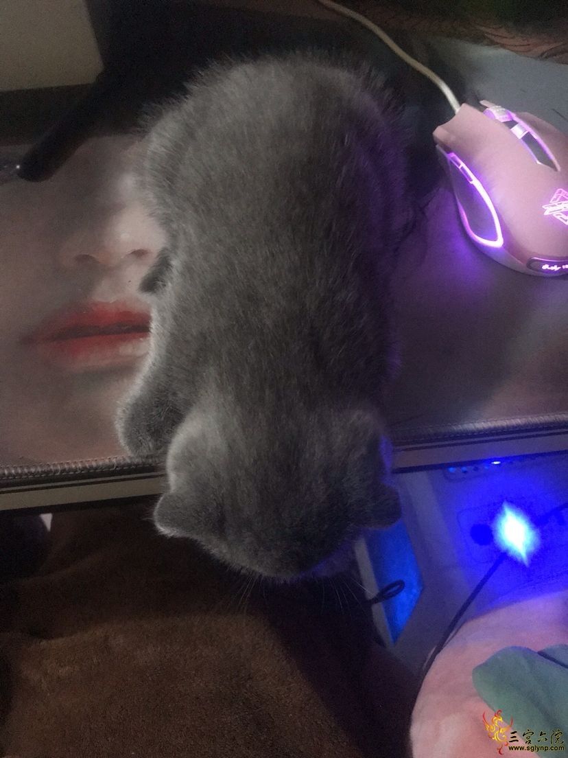 QQͼƬ20200214003706.jpg