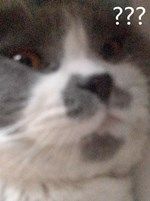 QQͼƬ20200214001110_.jpg