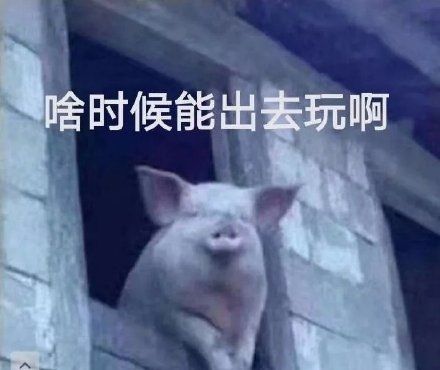 ae2c6e1dly1gbn015u1snj20jv0gpwfi.jpg