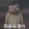 5f53be0dgy1gbv7kfv0fhj203b03dmwz.jpg