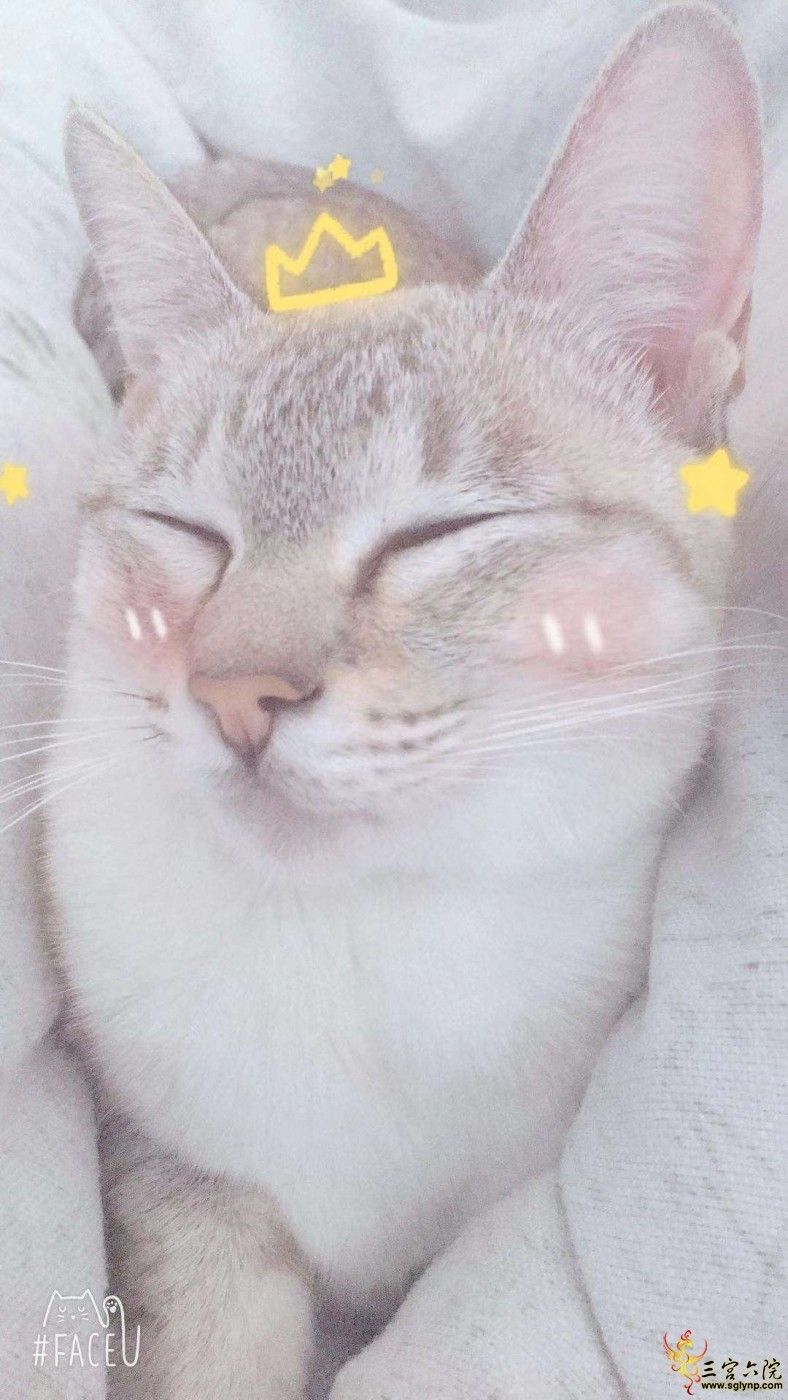 ˯˻ǺŮ