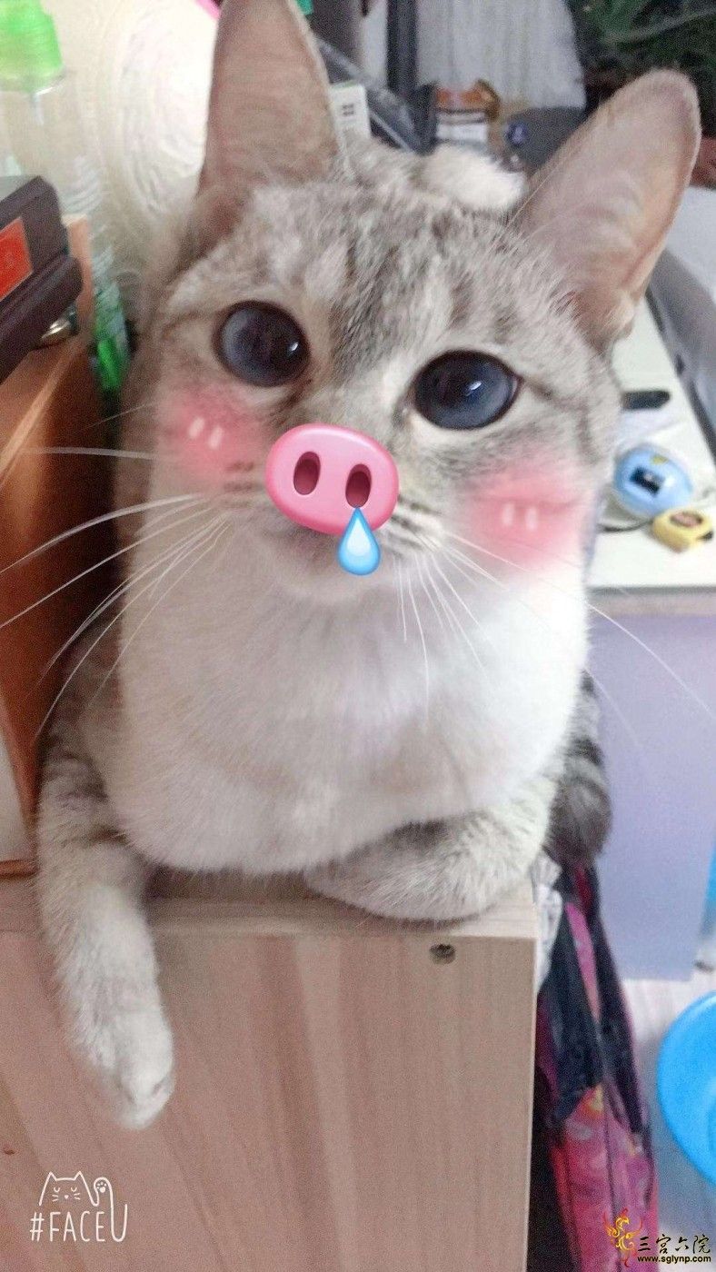 QQͼƬ20200218094840.jpg