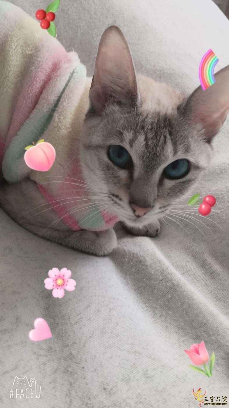 QQͼƬ20200218094844.jpg