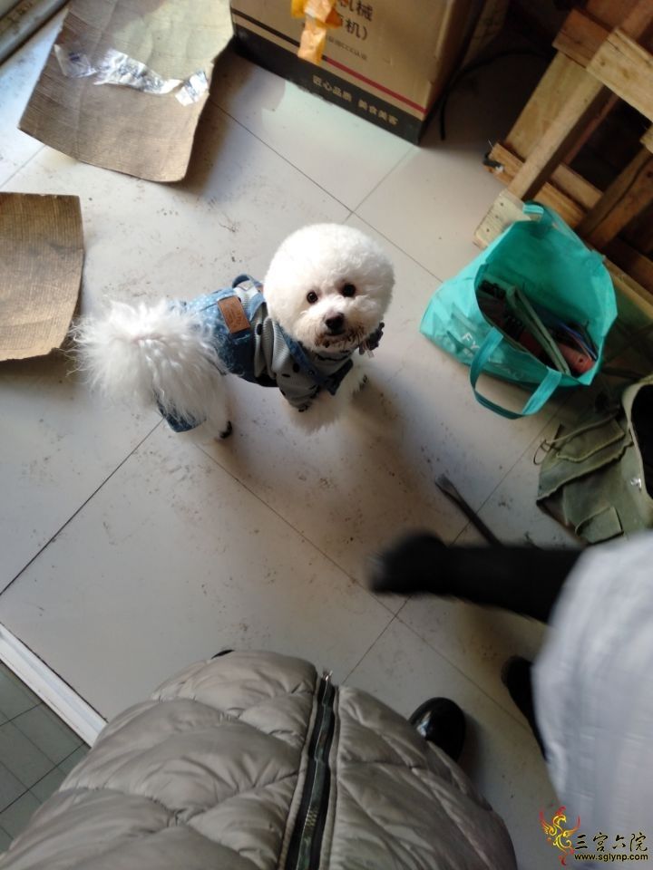 QQͼƬ20200218154034.jpg
