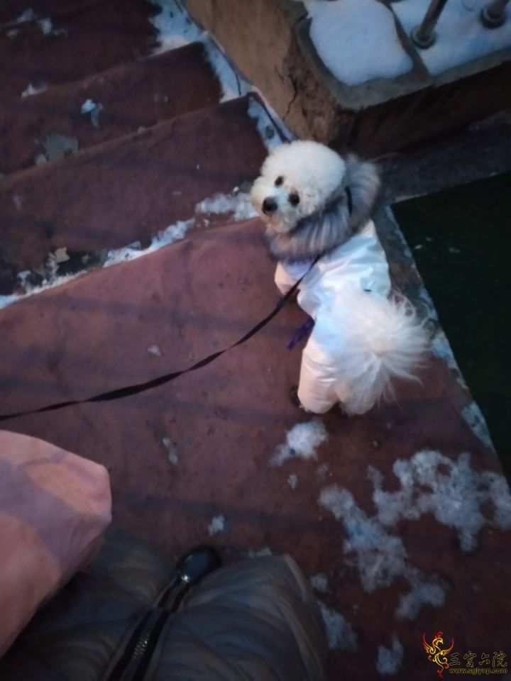 QQͼƬ20200218154055.jpg