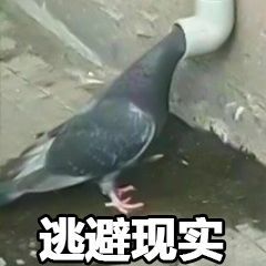 o_1dbv5li4v1lksiavnlv1omp4952j.jpg
