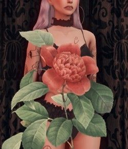 tumblr_d4c469132bfd04d973c2df29a3cbd1cc_5473e106_250.png
