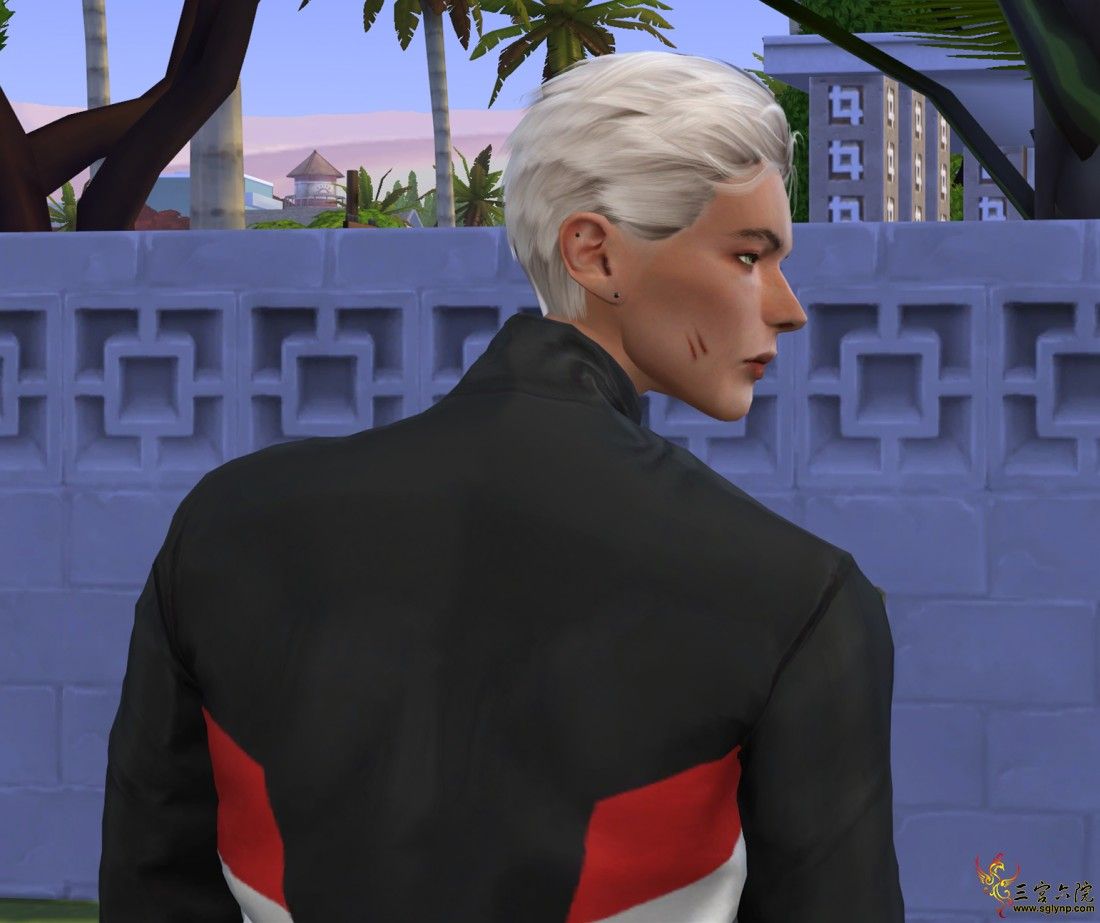 15.png