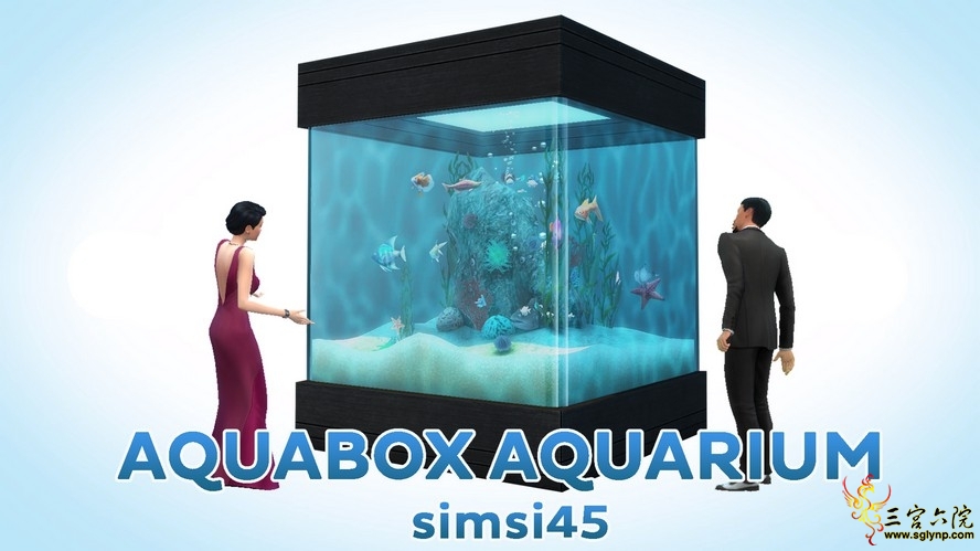 Aquabox Aquarium Conversion.jpg