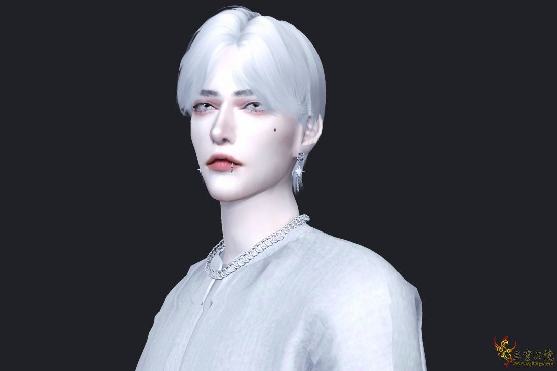 White4.jpg