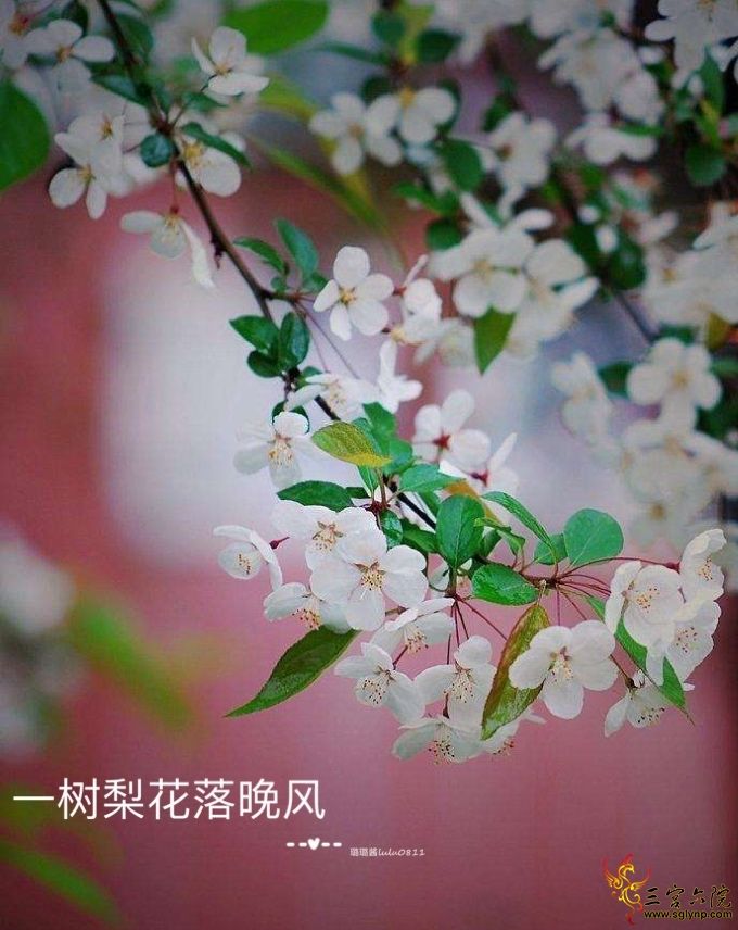 2c304b60ec6f0aa62465f6d9ebb39e2.jpg