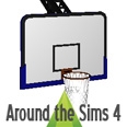 ATS4_object_sport_ceilingbasketballhoop.jpg