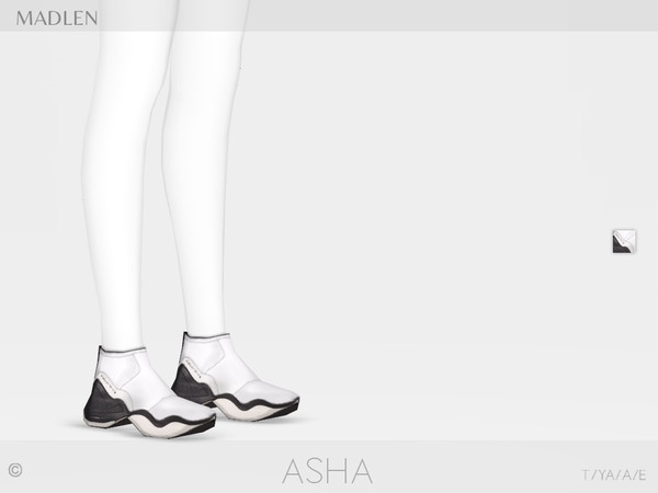 Madlen Asha Shoes.jpg