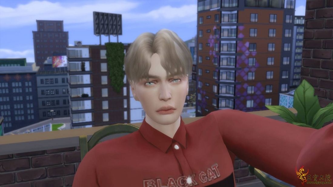 254172.jpg