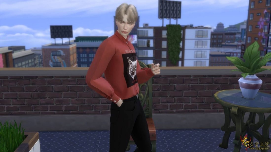 254171.jpg