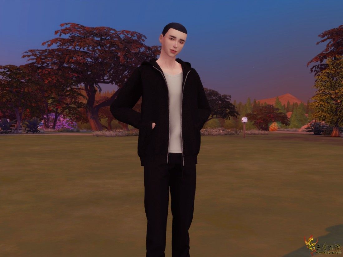 33.png