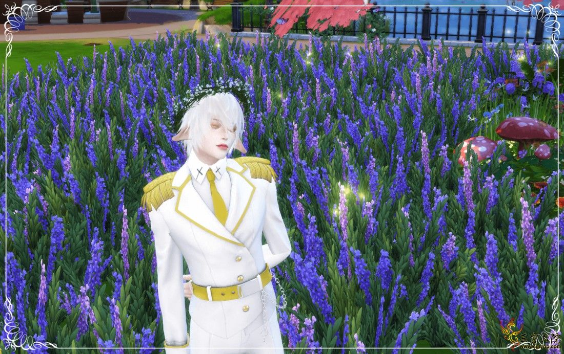 8.png