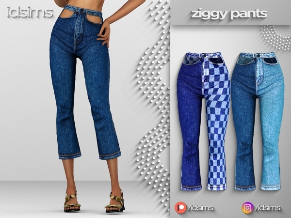 idsims - Ziggy Pants.jpg