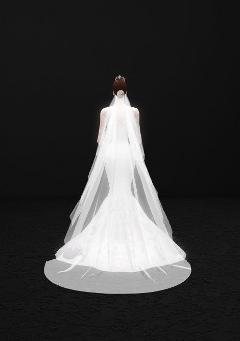 [Lena] Lena's wedding veil.png