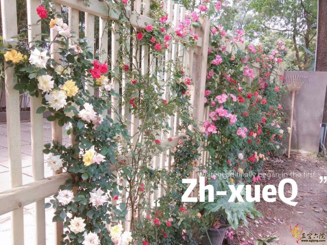 ΢ͼƬ_20200425160721.jpg