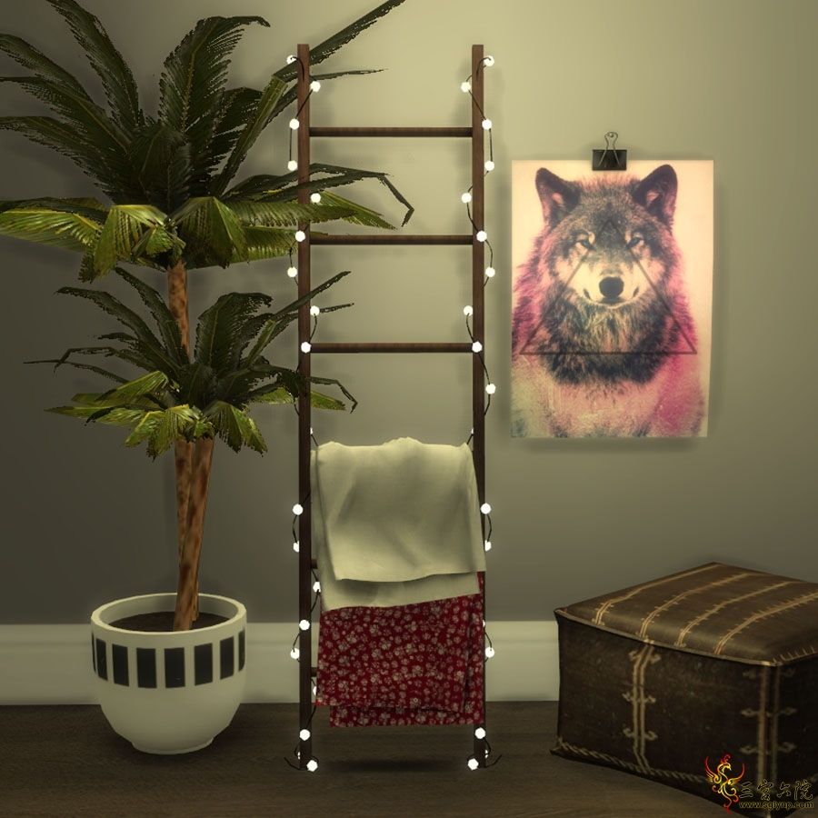 ladder-set.jpg