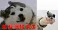 QQͼƬ20200504202834_ͼ.jpg