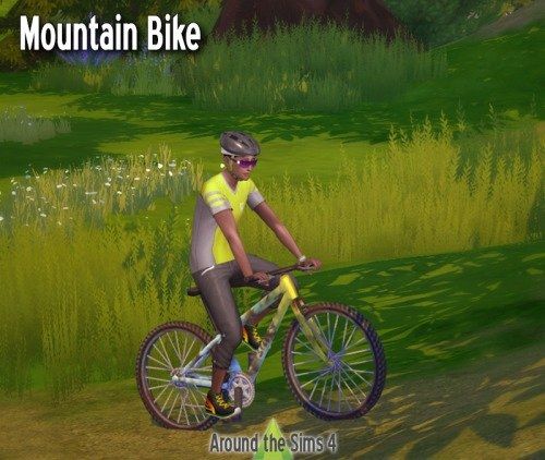 Mountain Bike.jpg