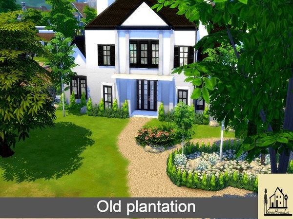 Old Plantation.jpg