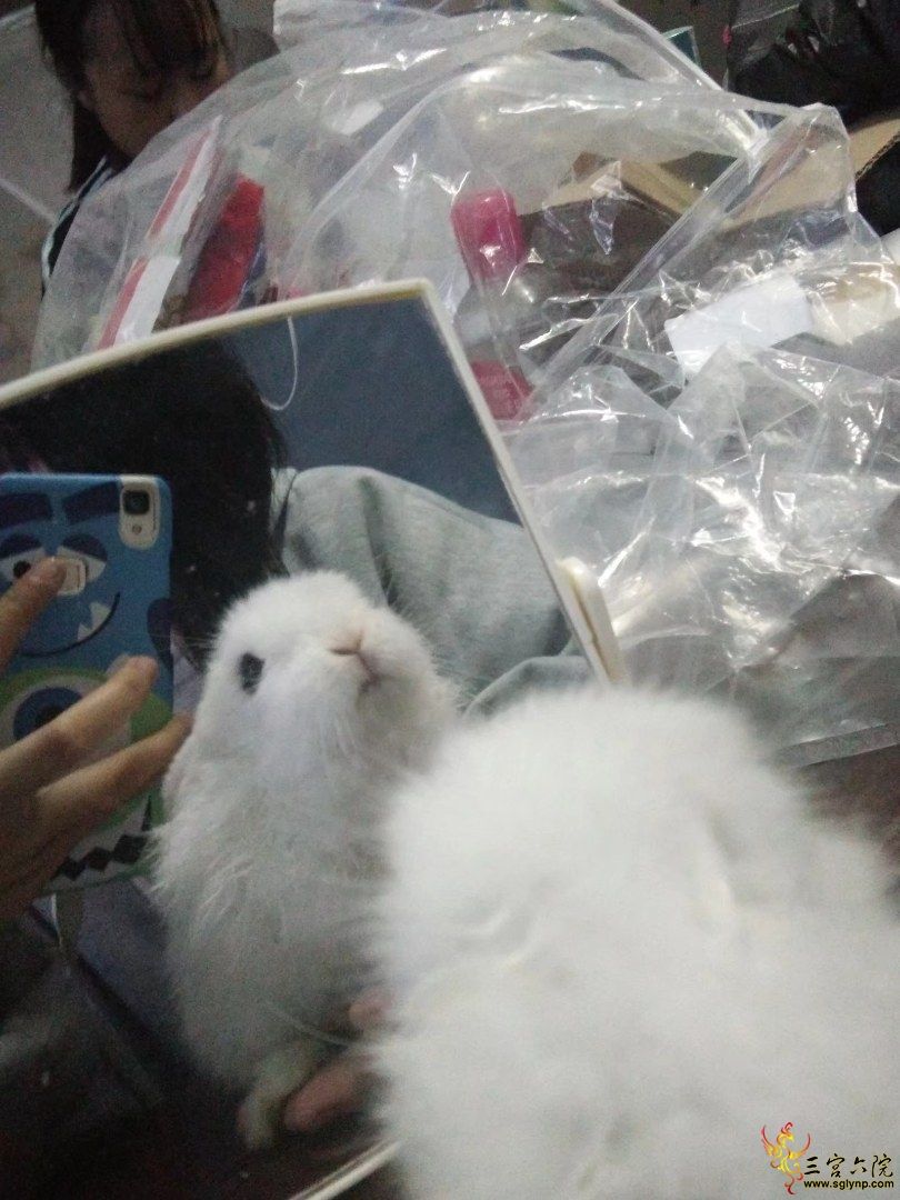 QQͼƬ20200512182354.jpg