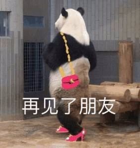 timg.jpg