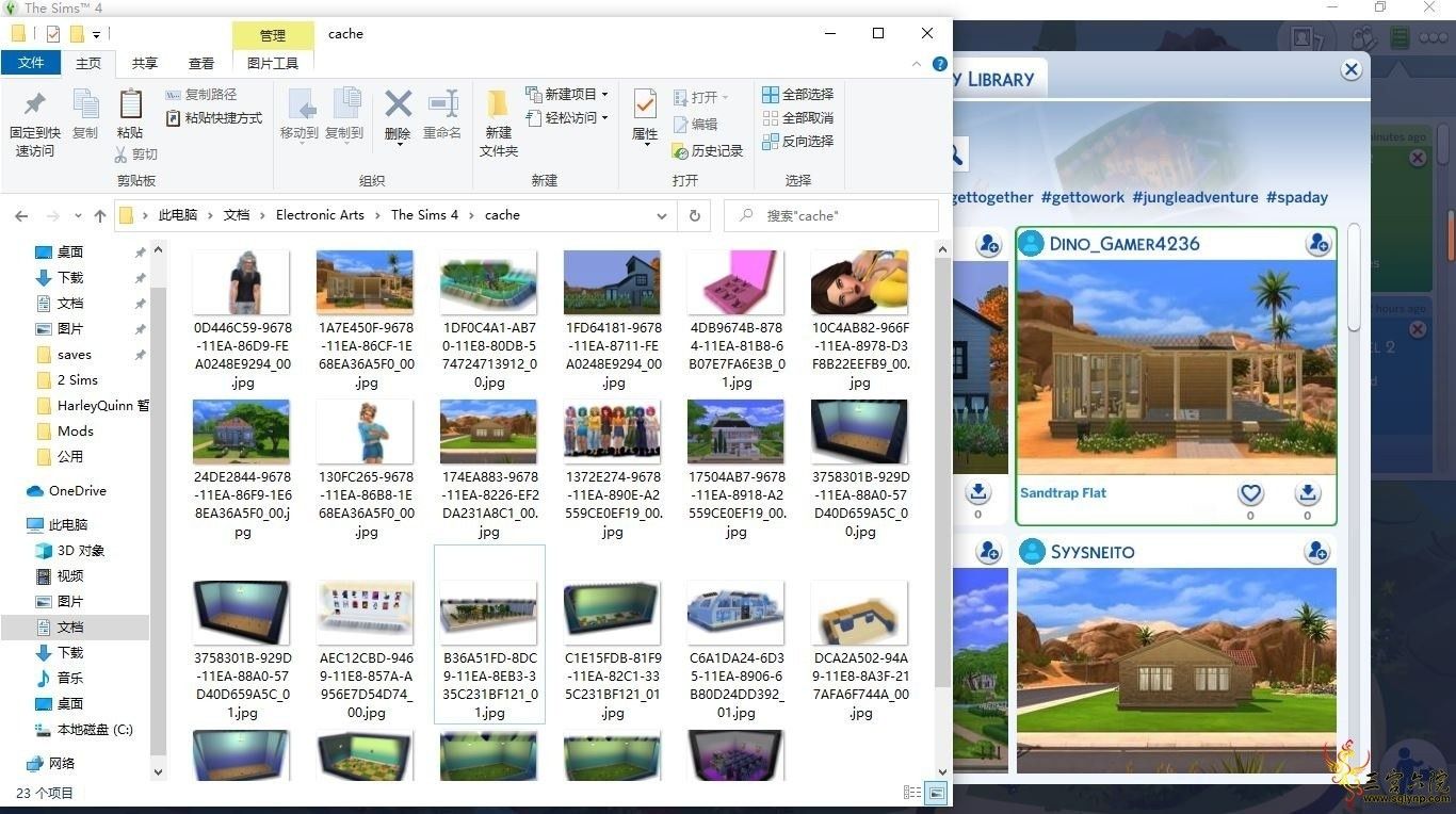 .JPG