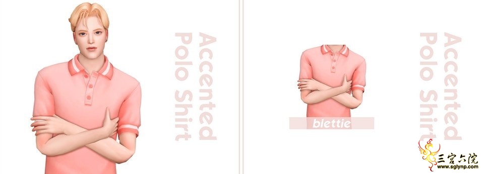 blettie Accented Polo Shirt.jpg