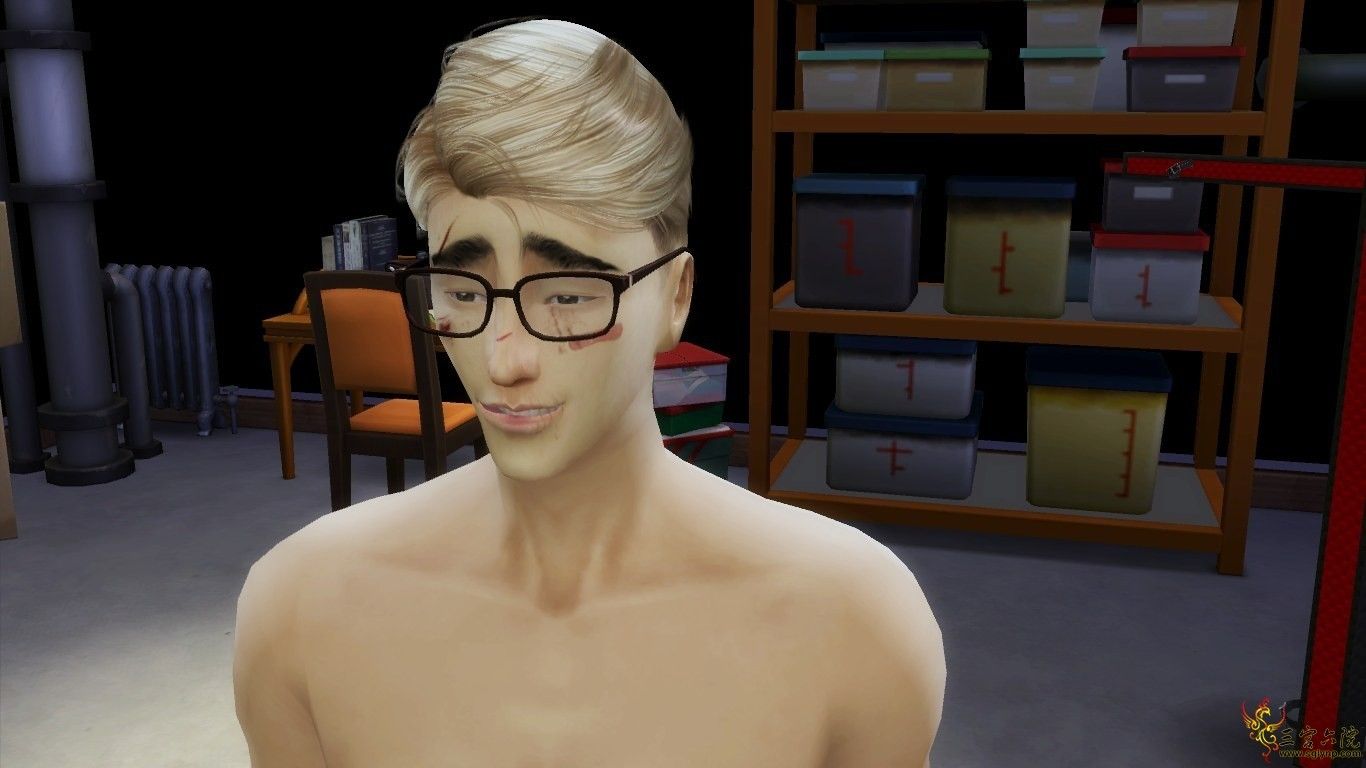 KS7.png