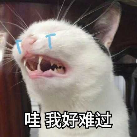 u=1152216961,614218687&amp;fm=15&amp;gp=0[1].jpg