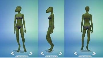 1932290.largethumb.jpg