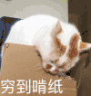 img-005Lkl5Jly1gbq4raqrkkg302s02yn1n.gif
