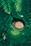 13.gif