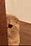 16.gif