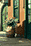 12.gif