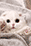 5.gif