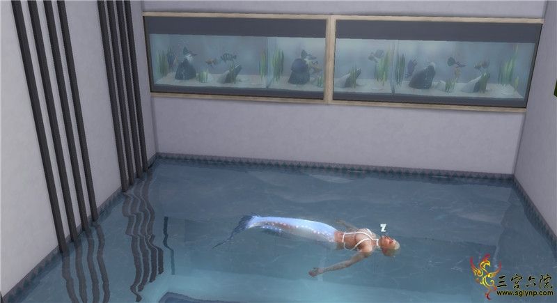 .jpg