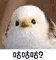 QQͼƬ20200707135929.png