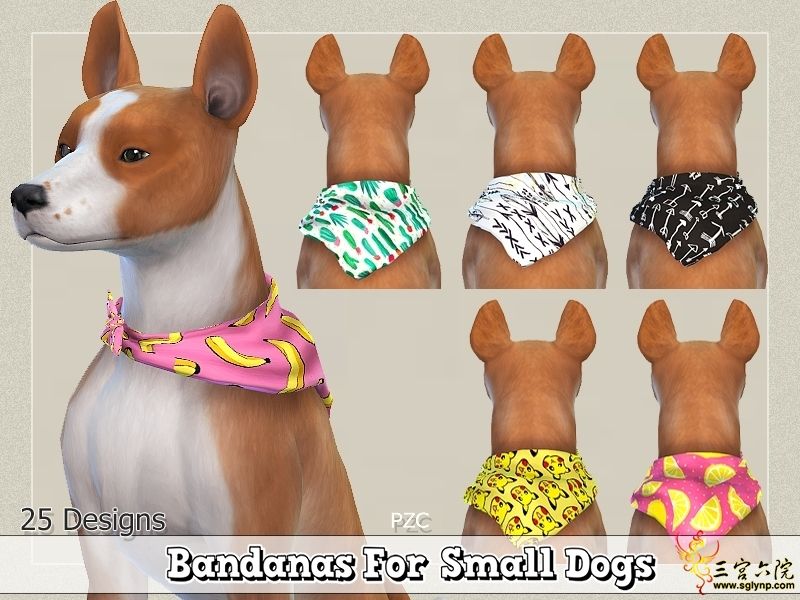 PZC_Cute Bandanas For Small Dogs.jpg