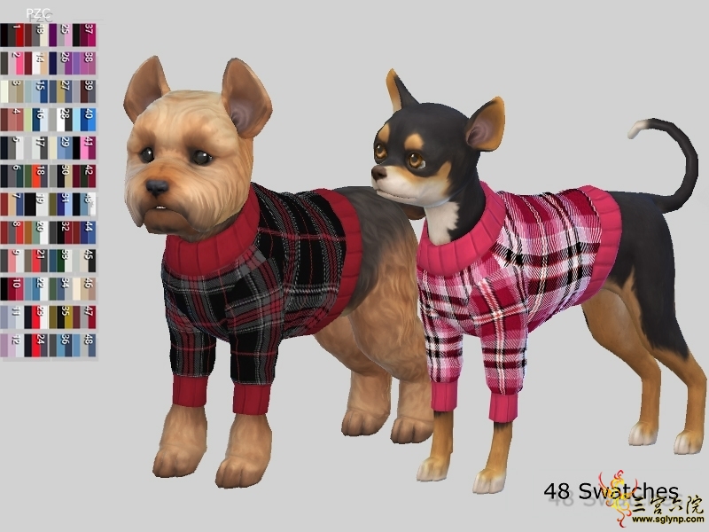 PZC_Burberry 2 Small Dog Sweaters Collection.jpg