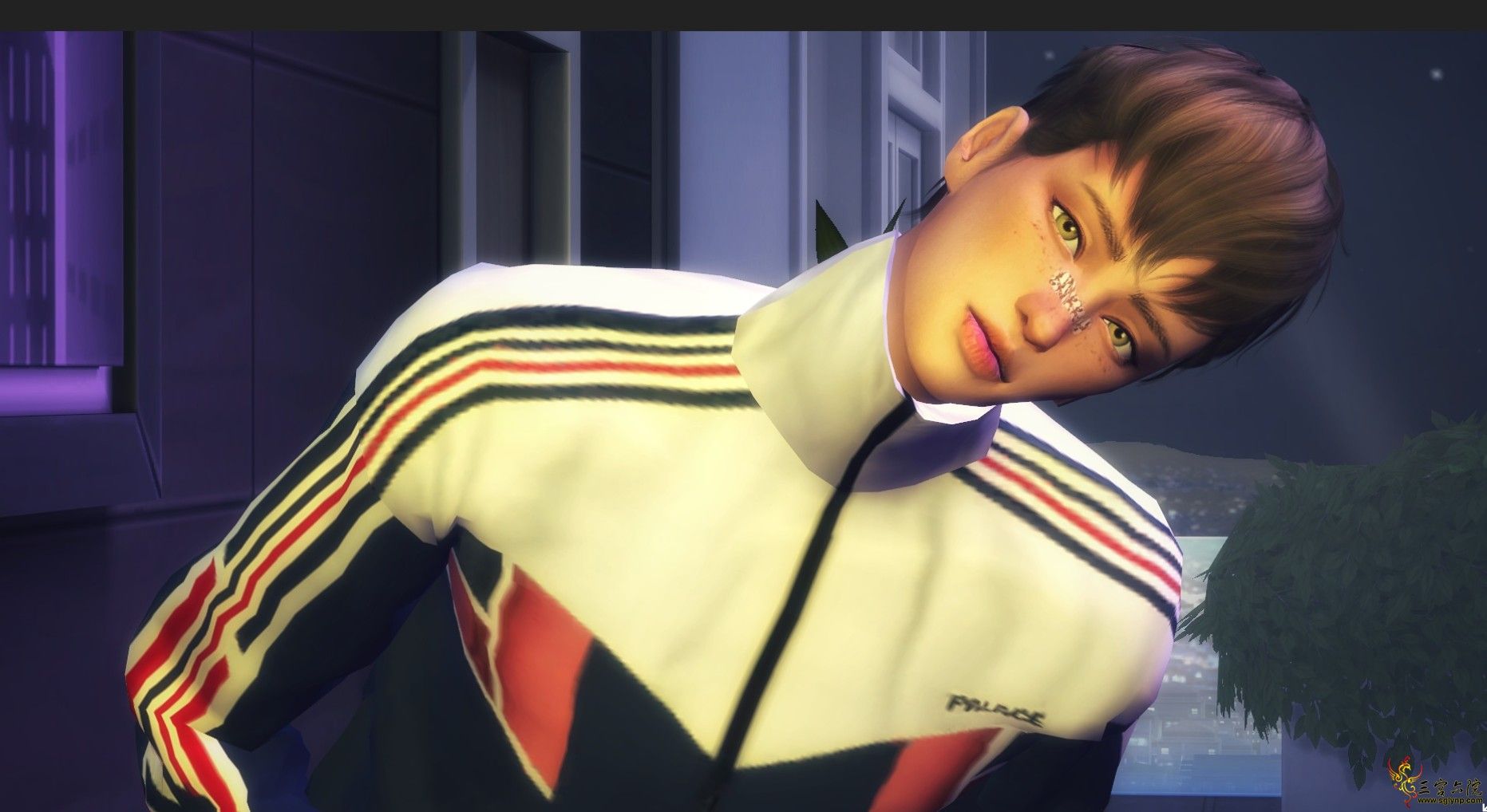 5.png