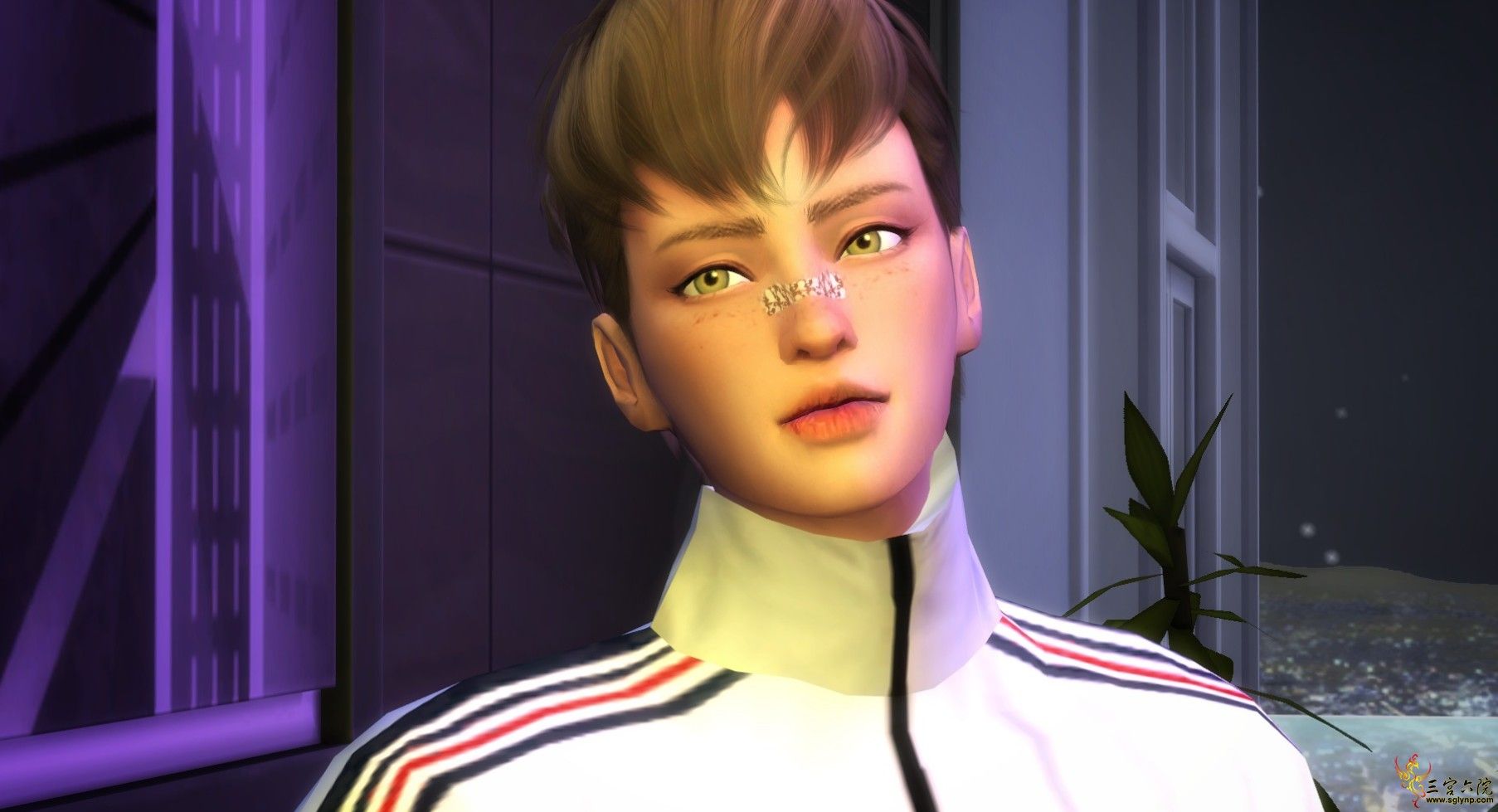 7.png