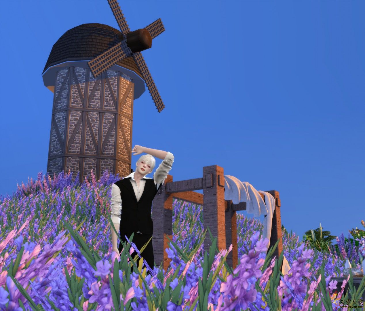 IMG_7880.PNG