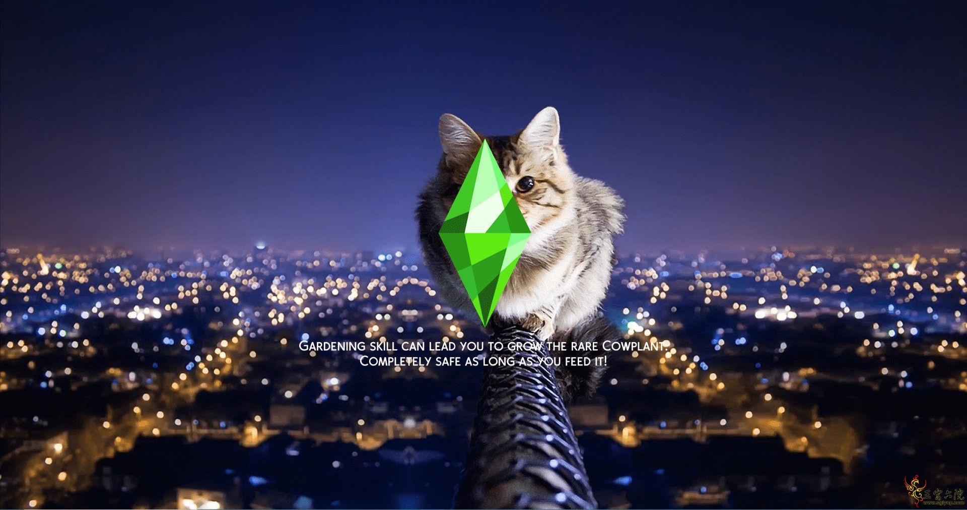 MTS_xSwitchback-1952565-LandscapeEscapes4-SkylineCat.png